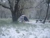 DSCN4554.JPG