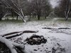 DSCN4556.JPG