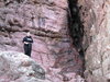 canon owner shots 003.jpg