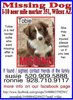 Tobie missing.jpg