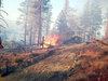 Canyon Fire-Dozer-07.02.12