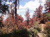 DSC08636.JPG
