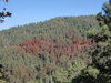 DSC08715.JPG
