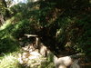 DSC08285.JPG