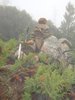 Copy of MtGraham28Jul2012download 016.JPG