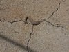 Concrete Rattlesnake.jpg