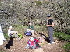 P1010003.jpg