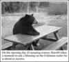 Prayer bear.