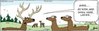 deer.jpg