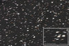 CometIson020513RGBFKEY1600-Schur.jpg