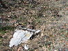 Wreckage site