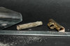tree find (10).jpg