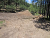 IMG_4083small.jpg