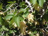 DSCF7227.JPG