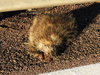 DSCN8538.JPG