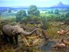 Diorama AZ State Museum.jpg