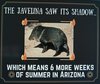 Arizona's answer to the groundhog's shadow