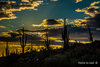 Sunset at the Don's Camp