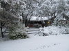 IMG_0140.JPG