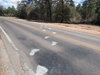 DSCN3126.JPG