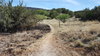 20170426_153027.jpg (7.54 MiB) Viewed 3386 times East of Rosemont Junction at the FR4064 road crossing looking south.