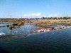 IMG_0157.jpg
