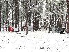 IMG_0813.jpg