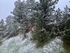 6C29615B-9951-4EEA-81AC-7865782D8D00.jpeg