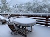 59FE5525-0B63-4C4D-909A-E3F2189936D1.jpeg
