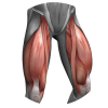 quads.png