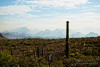 Sawtooth Fire 06-01-20 (5).jpg