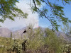 Tucson Fire.jpg