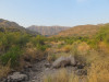 img_9030.jpg