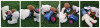 Bearvault.jpg