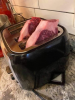 steaks in a toaster.png