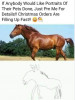 Pet Portraits.JPG