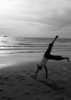 photographer avatar