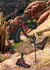 photographer avatar