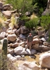 photographer avatar