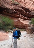 photographer avatar