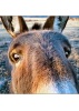 photographer avatar
