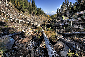 feature photo