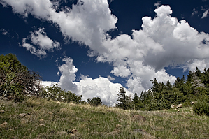 feature photo