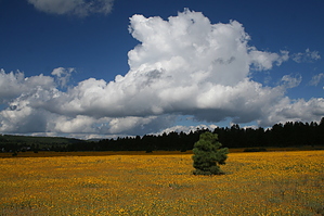 feature photo