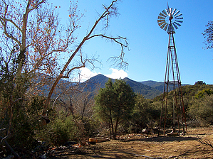 feature photo