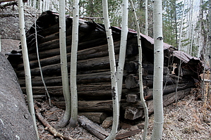feature photo