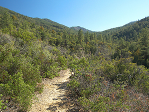 feature photo