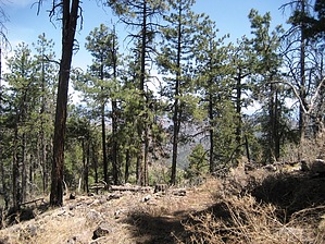 feature photo