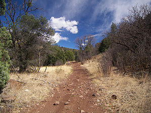 feature photo