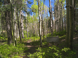 feature photo